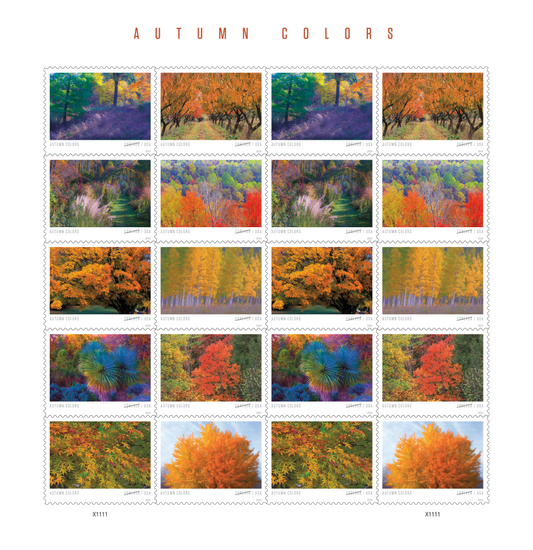 2024 Autumn Colors Stamps Forever First Class Postage Stamps