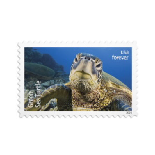 2024 US Protect Sea Turtles Forever First Class Postage Stamps