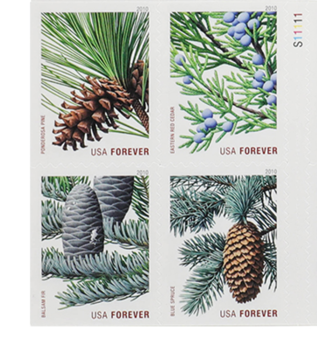 2010 Holiday Evergreens Forever First Class Postage Stamps