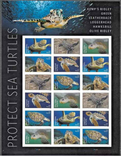 2024 US Protect Sea Turtles Forever First Class Postage Stamps